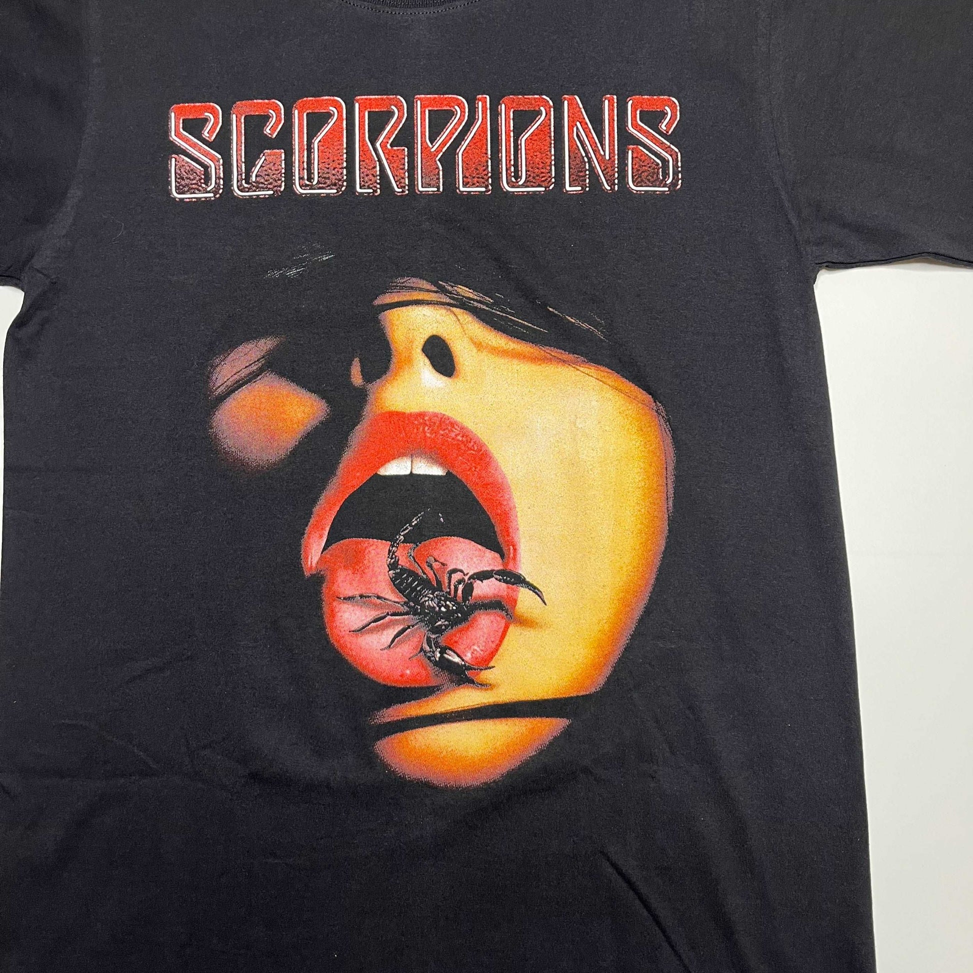 Scorpions Double Side Printed Black Tee | Fits Upto M